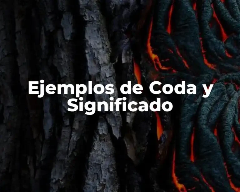 Ejemplos de Coda y Significado