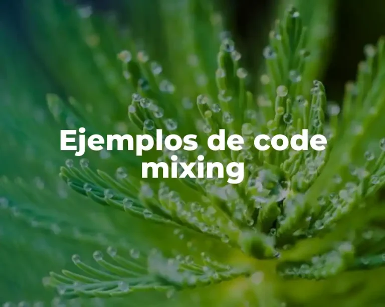 Ejemplos de code mixing
