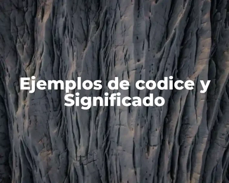 Ejemplos de codice y Significado