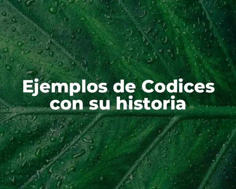 Ejemplos de Codices con su historia
