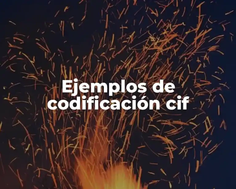 Ejemplos de codificación cif