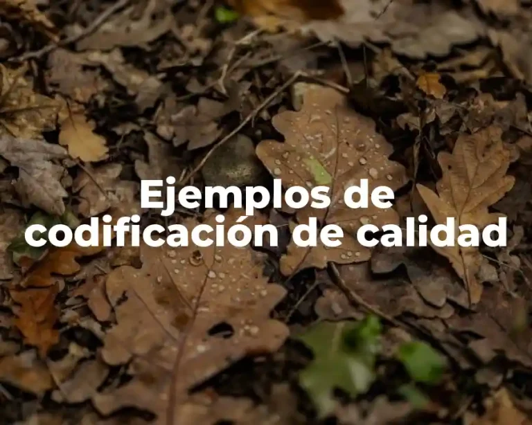 Ejemplos de codificación de calidad