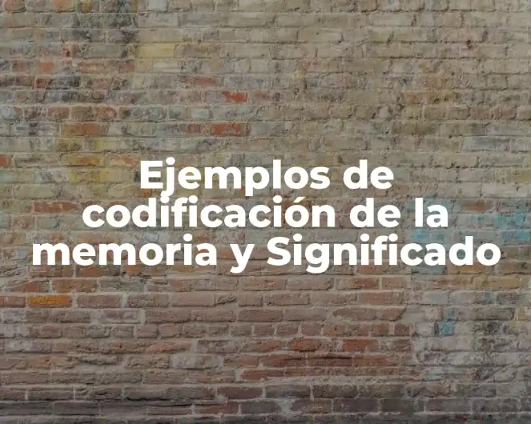 Ejemplos de codificación de la memoria y Significado