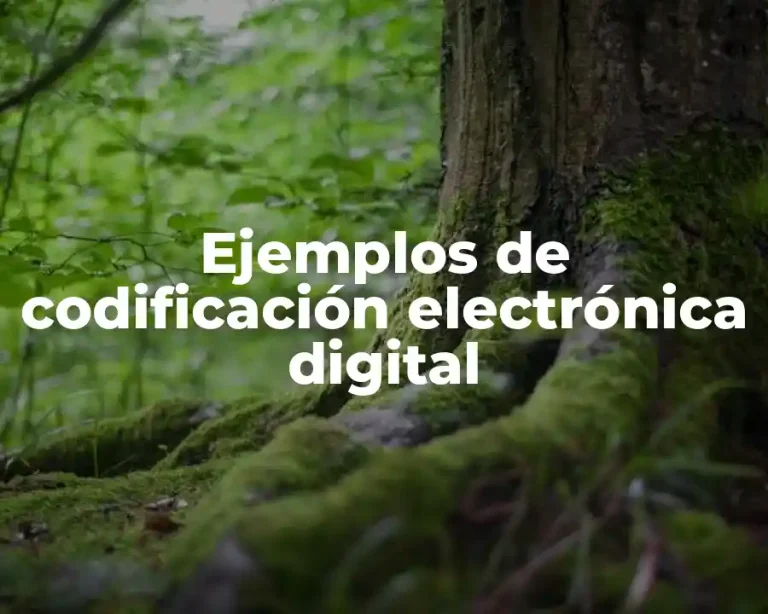 Ejemplos de codificación electrónica digital