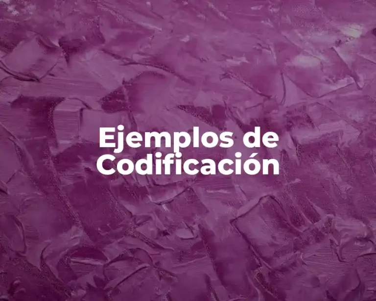 Ejemplos de Codificación