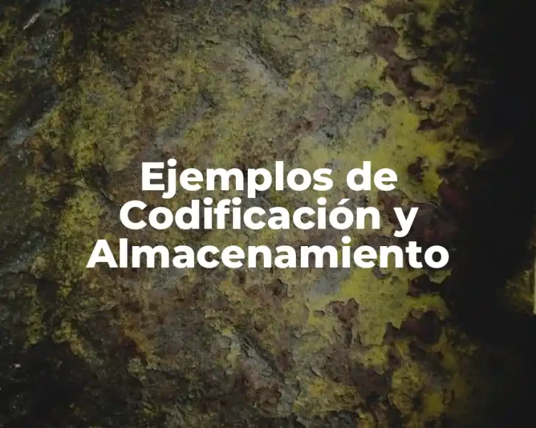 Ejemplos de Codificación y Almacenamiento