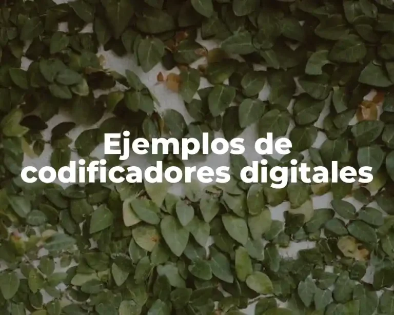 Ejemplos de codificadores digitales