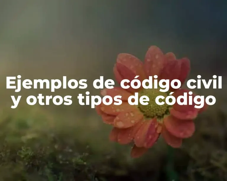 Ejemplos de código civil y otros tipos de código