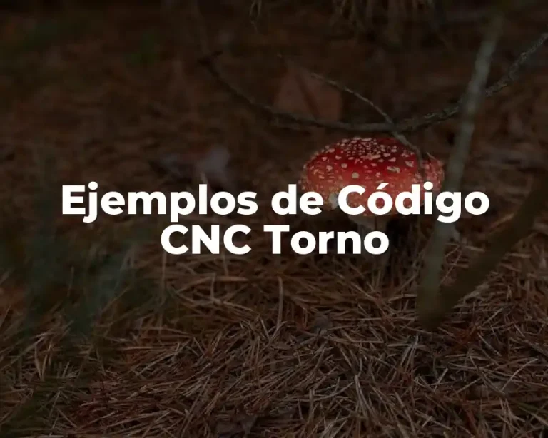 Ejemplos de Código CNC Torno