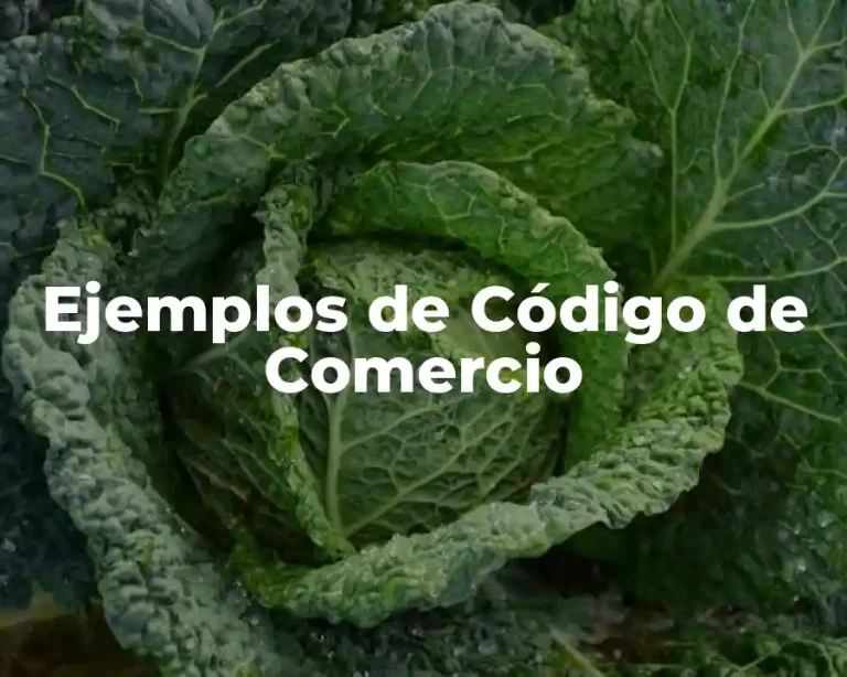 Ejemplos de Código de Comercio