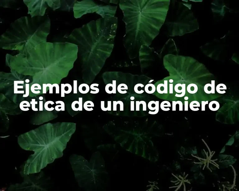 Ejemplos de código de etica de un ingeniero