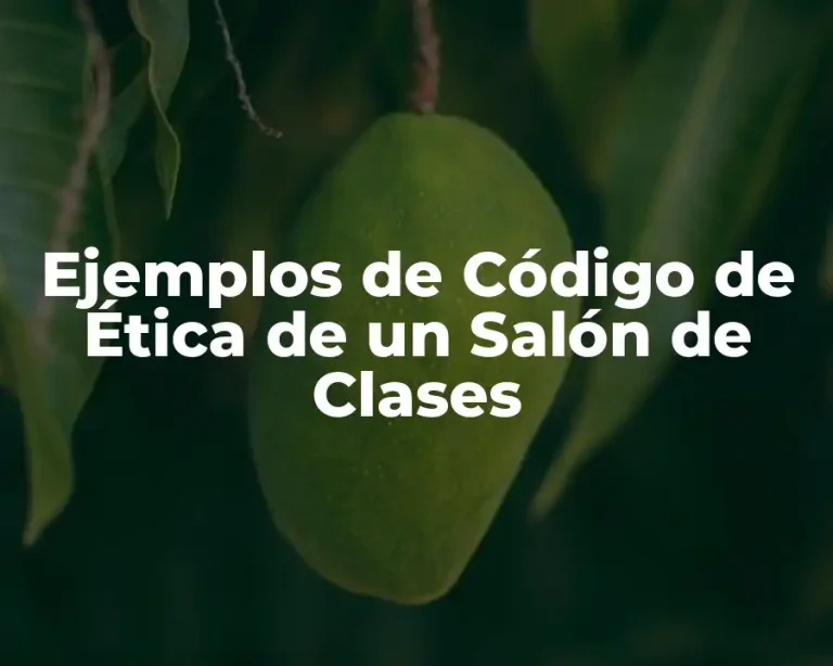 Ejemplos de Código de Ética de un Salón de Clases