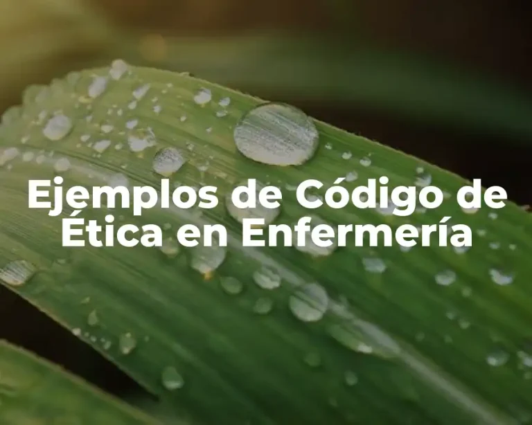 Ejemplos de Código de Ética en Enfermería