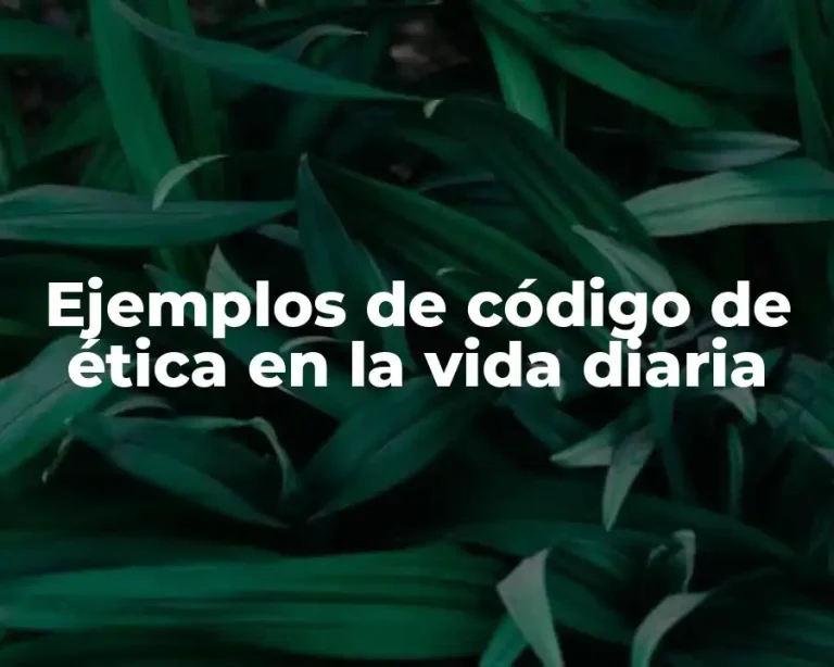 Ejemplos de código de ética en la vida diaria