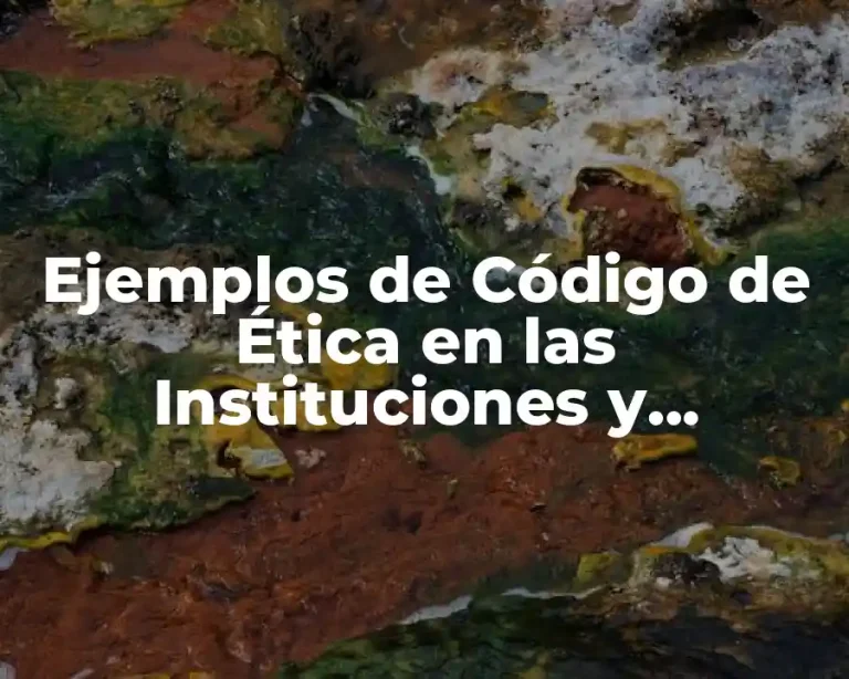 Ejemplos de Código de Ética en las Instituciones y Organizaciones