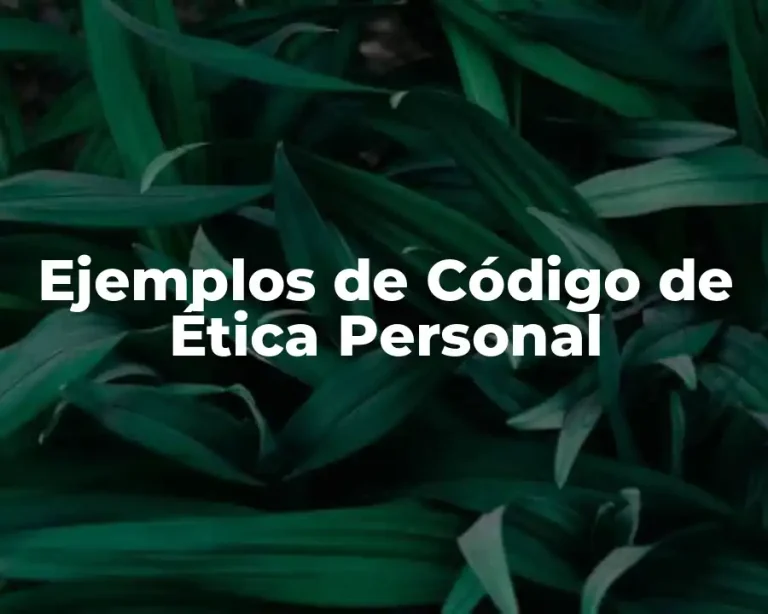 Ejemplos de Código de Ética Personal
