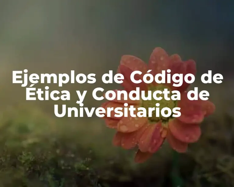 Ejemplos de Código de Ética y Conducta de Universitarios