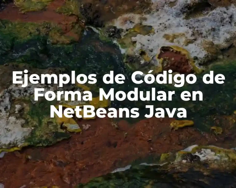 Ejemplos de Código de Forma Modular en NetBeans Java