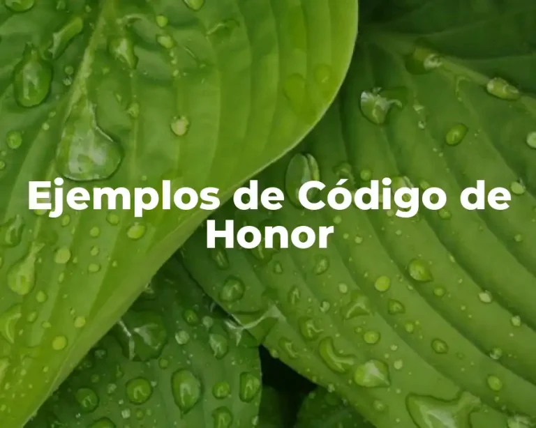 Ejemplos de Código de Honor