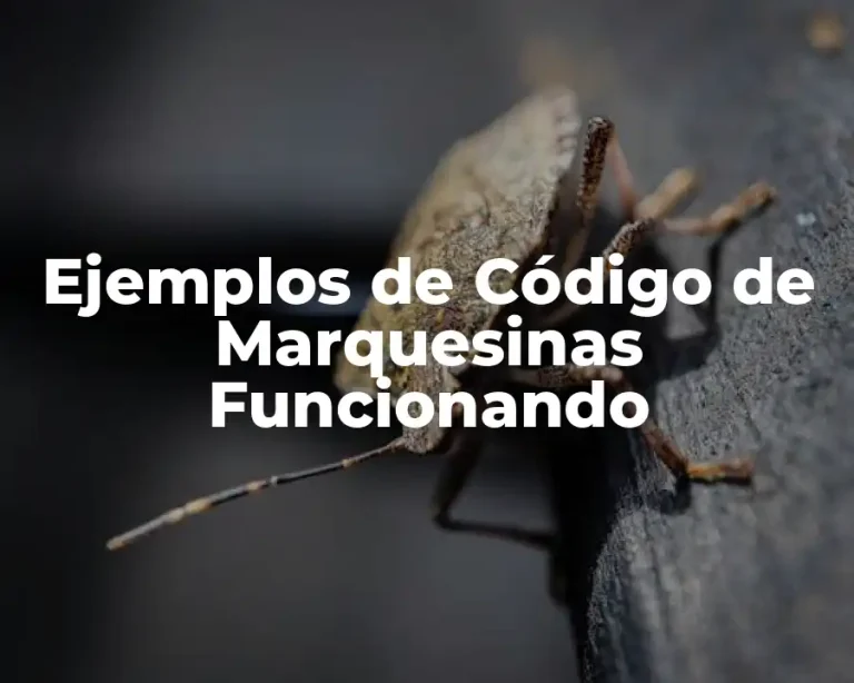 Ejemplos de Código de Marquesinas Funcionando