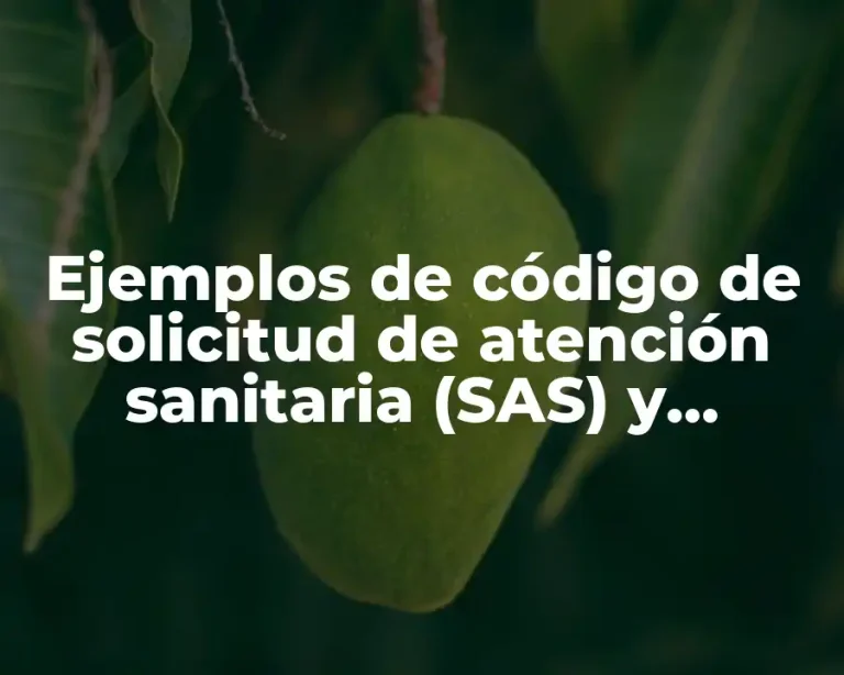 Ejemplos de código de solicitud de atención sanitaria (SAS) y Significado