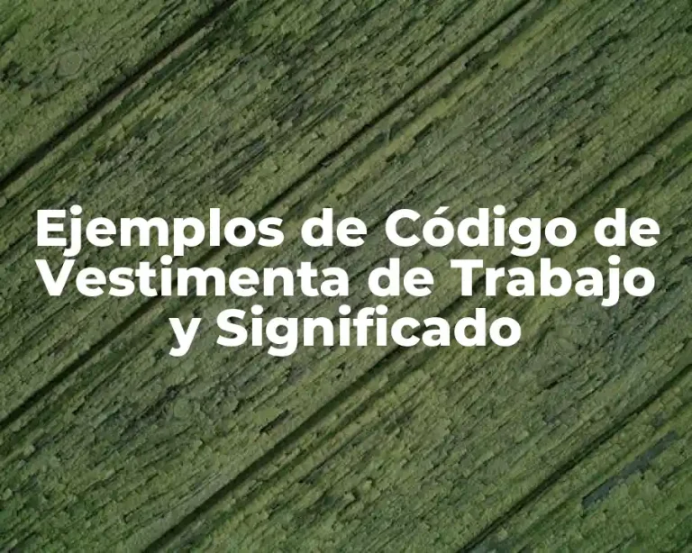 Ejemplos de Código de Vestimenta de Trabajo y Significado