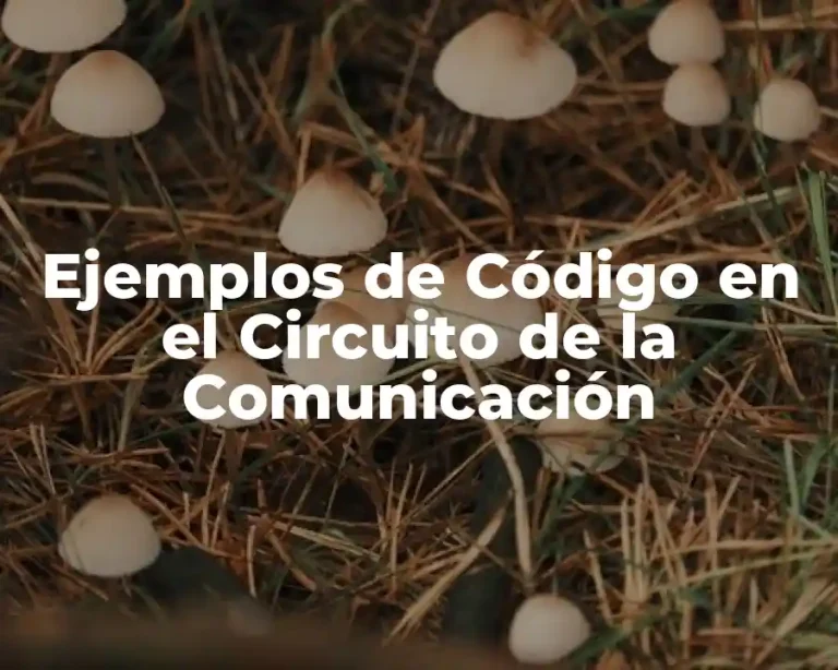 Ejemplos de Código en el Circuito de la Comunicación
