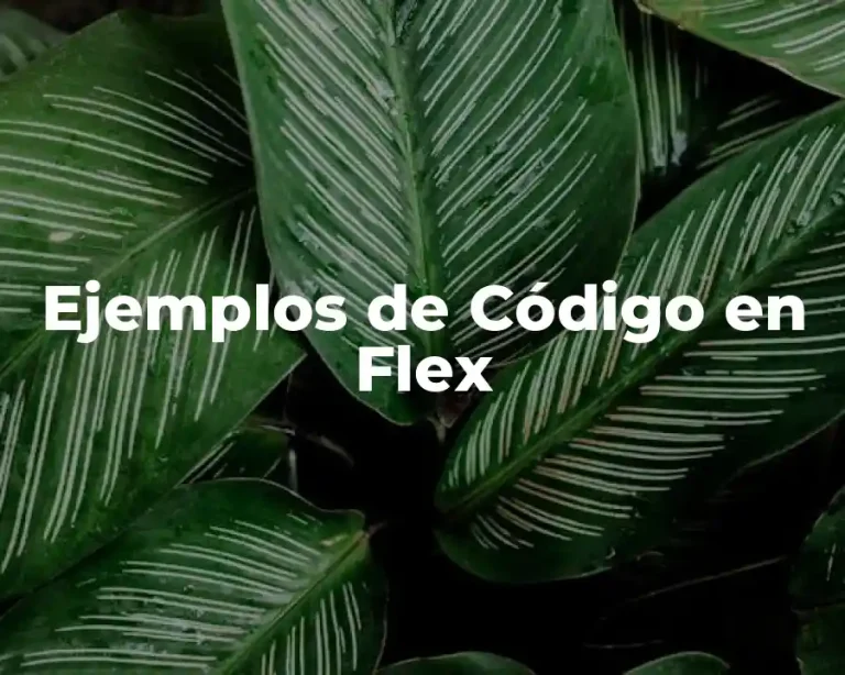 Ejemplos de Código en Flex