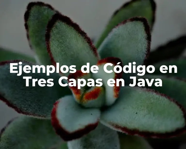 Ejemplos de Código en Tres Capas en Java