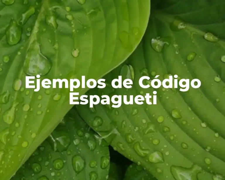 Ejemplos de Código Espagueti