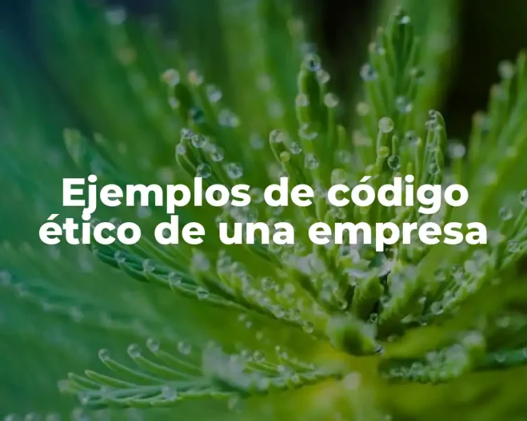 Ejemplos de código ético de una empresa