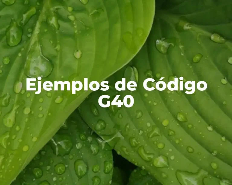 Ejemplos de Código G40