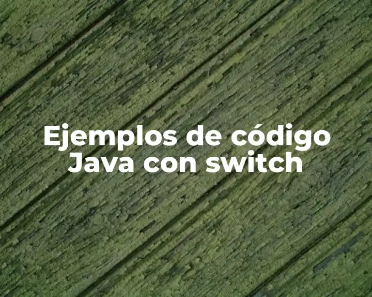 Ejemplos de código Java con switch