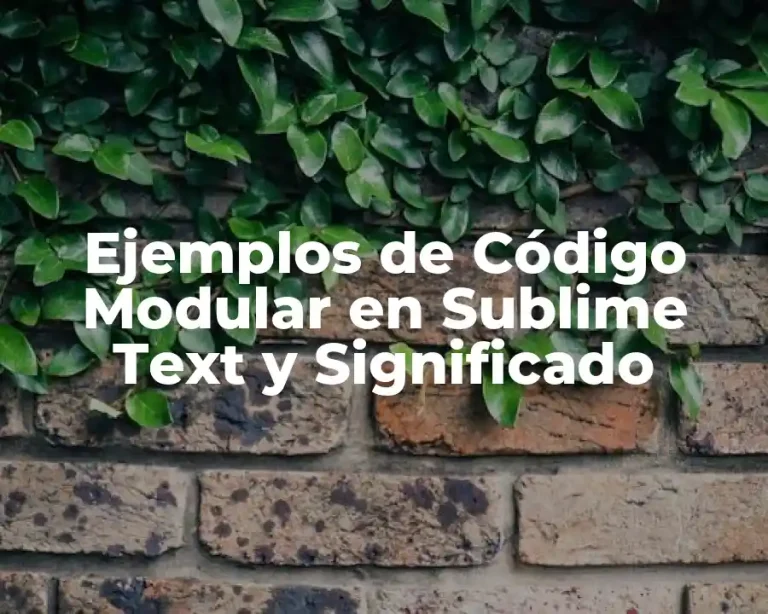 Ejemplos de Código Modular en Sublime Text y Significado