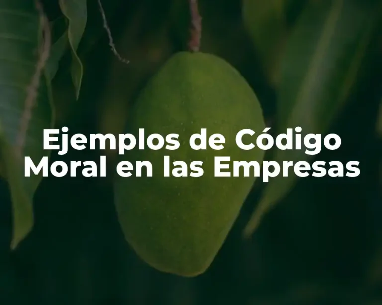 Ejemplos de Código Moral en las Empresas