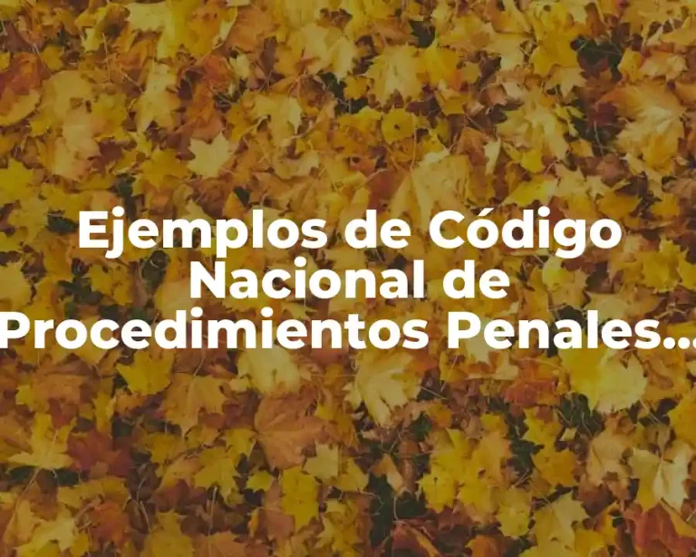 Ejemplos de Código Nacional de Procedimientos Penales y Significado