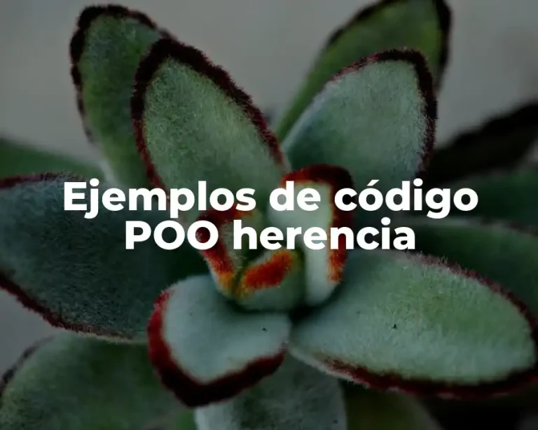 Ejemplos de código POO herencia