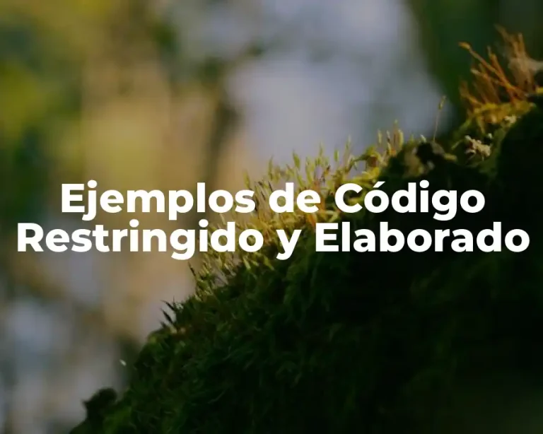 Ejemplos de Código Restringido y Elaborado