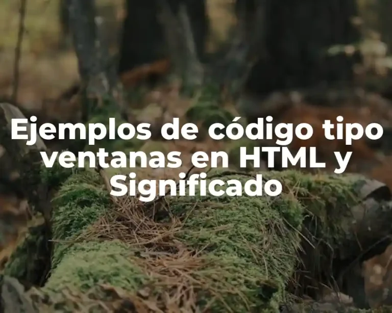 Ejemplos de código tipo ventanas en HTML y Significado