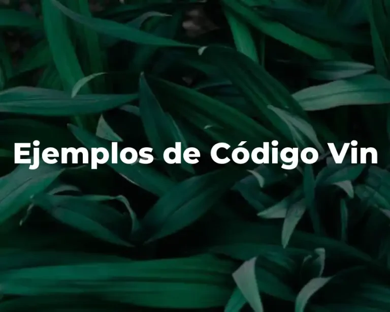 Ejemplos de Código Vin
