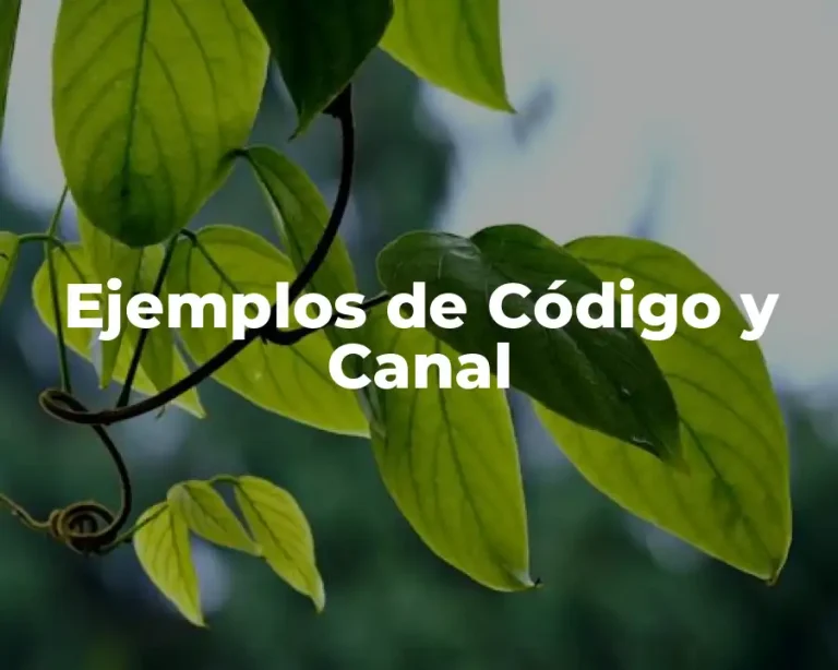Ejemplos de Código y Canal