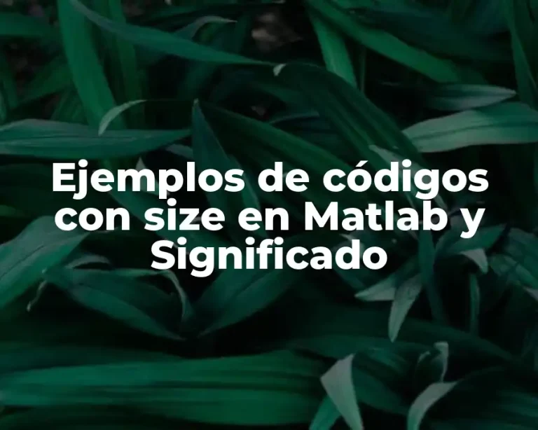 Ejemplos de códigos con size en Matlab y Significado