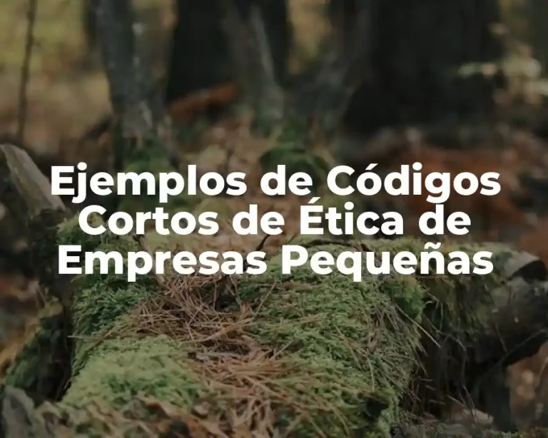 Ejemplos de Códigos Cortos de Ética de Empresas Pequeñas