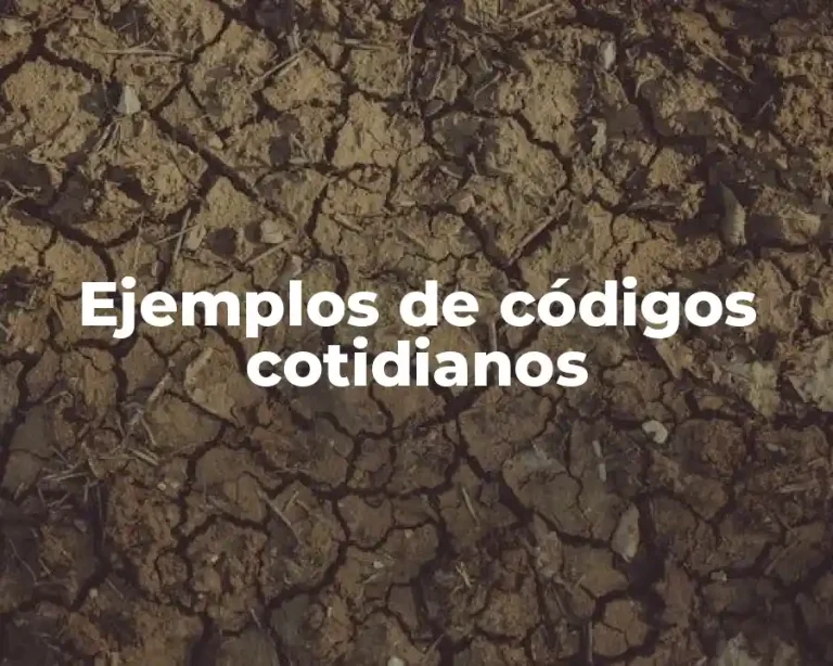 Ejemplos de códigos cotidianos