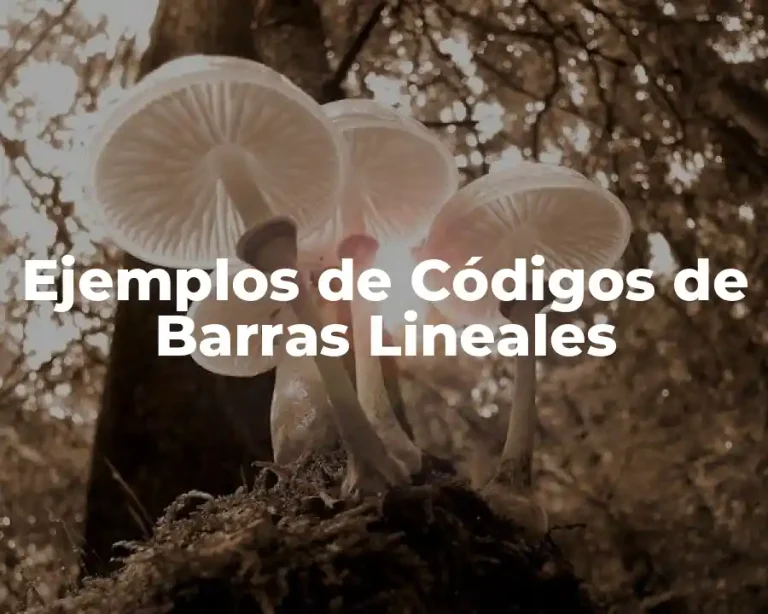 Ejemplos de Códigos de Barras Lineales