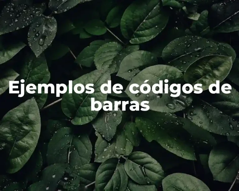 Ejemplos de códigos de barras