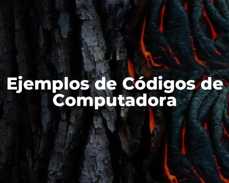 Ejemplos de Códigos de Computadora