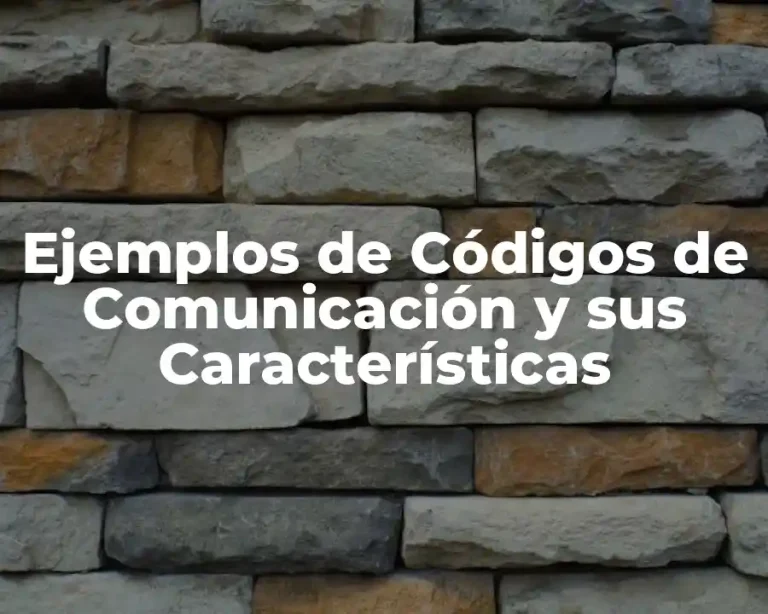 Ejemplos de Códigos de Comunicación y sus Características