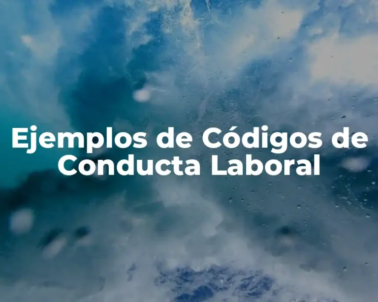Ejemplos de Códigos de Conducta Laboral
