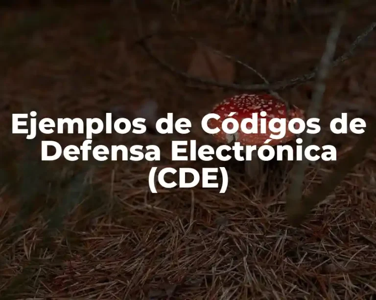 Ejemplos de Códigos de Defensa Electrónica (CDE)